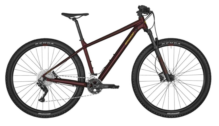 Bergamont Revox 7.0 2017 - main (0)