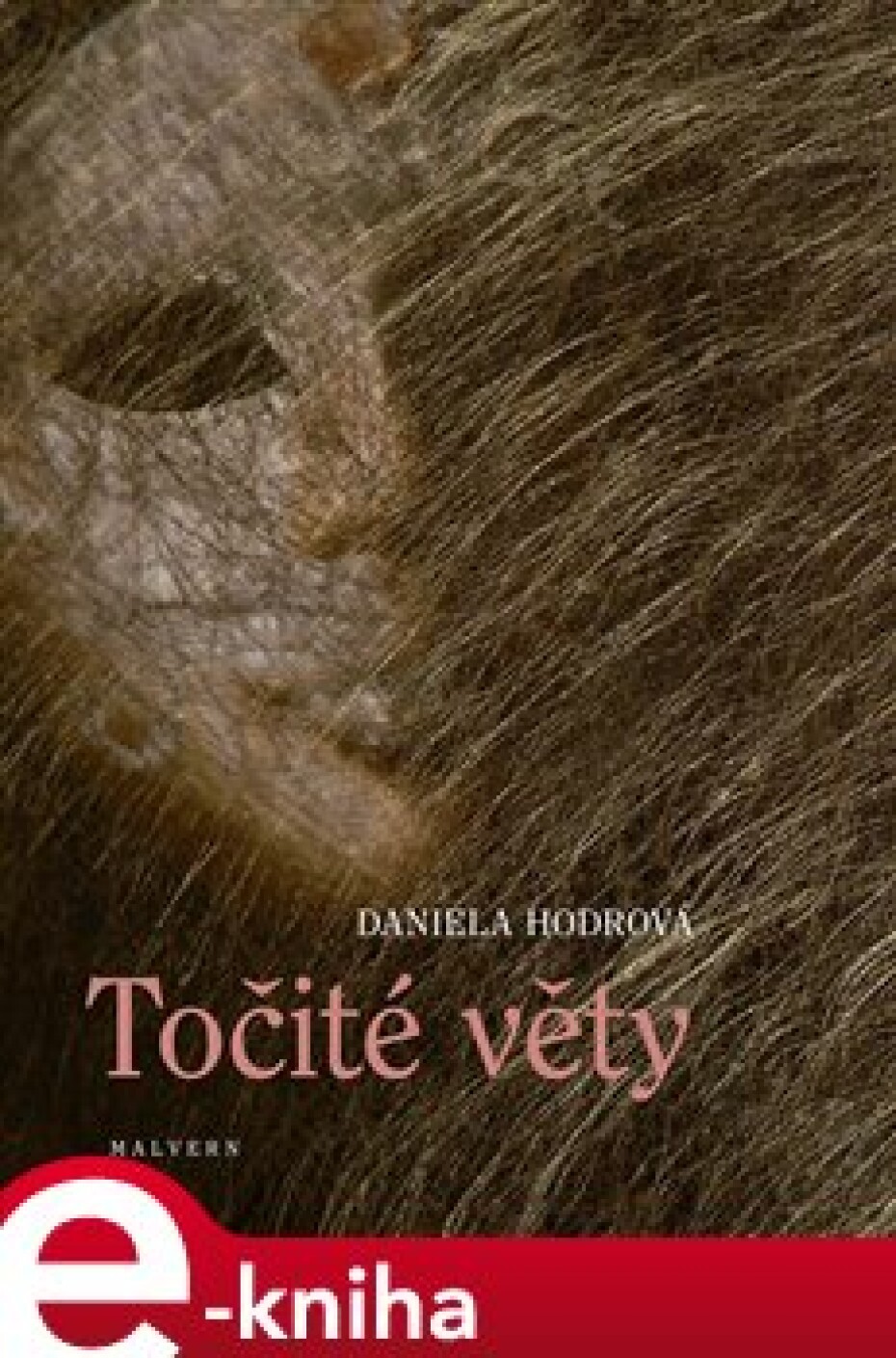 Točité věty - Daniela Hodrová - main (0)