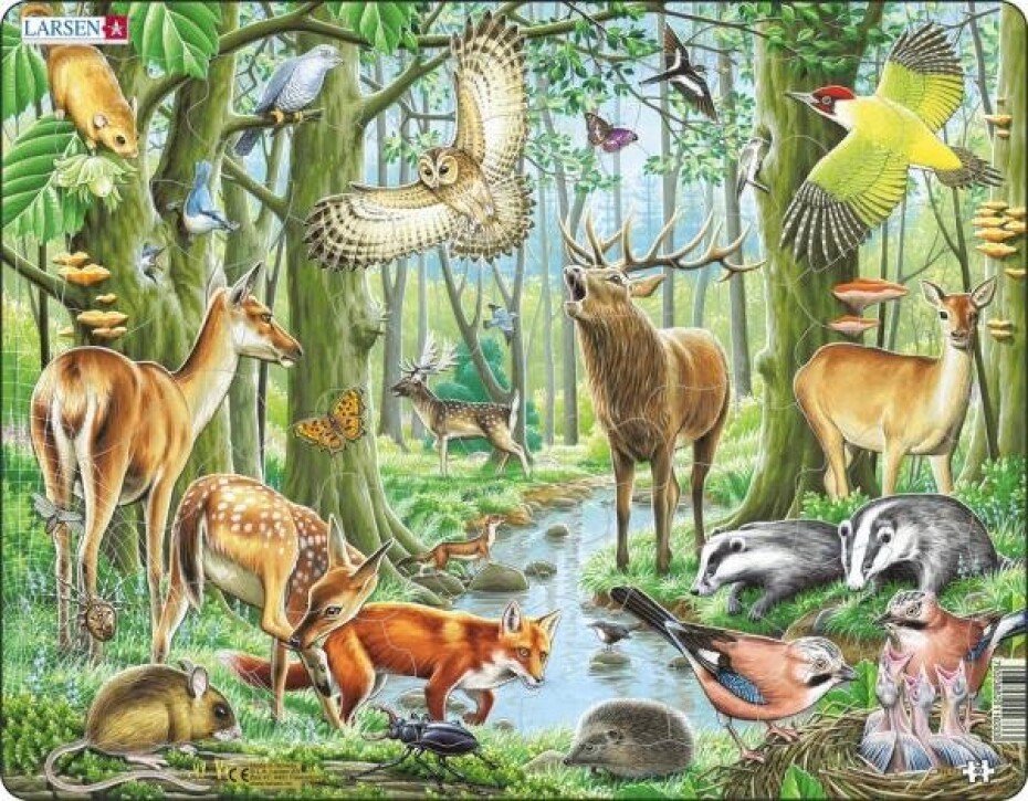 Puzzle Evropský les - main (0)