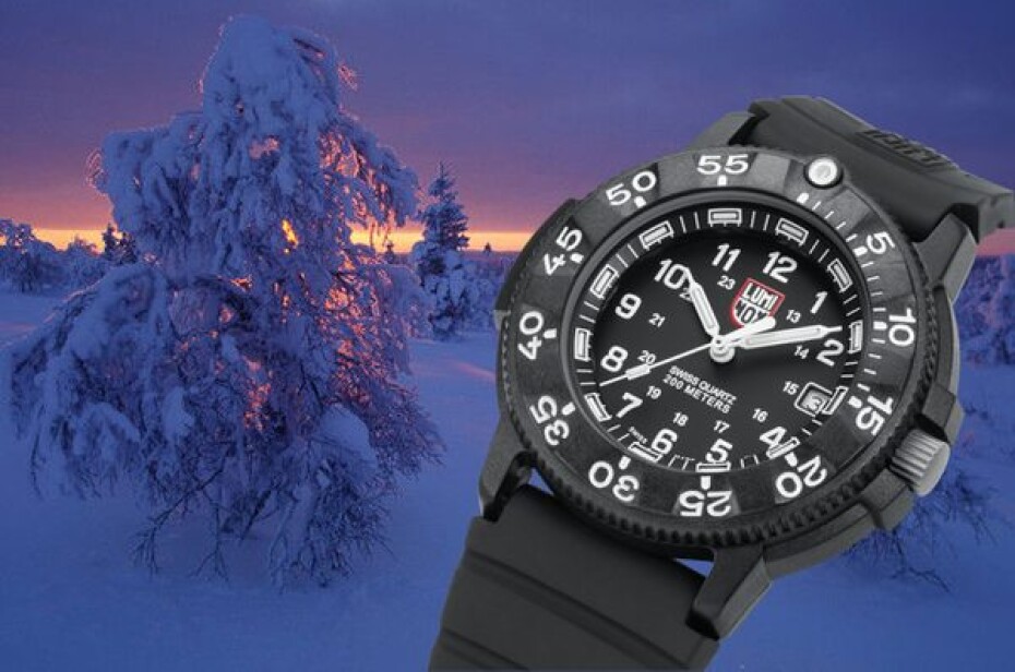 Luminox 3001.F - main (20)