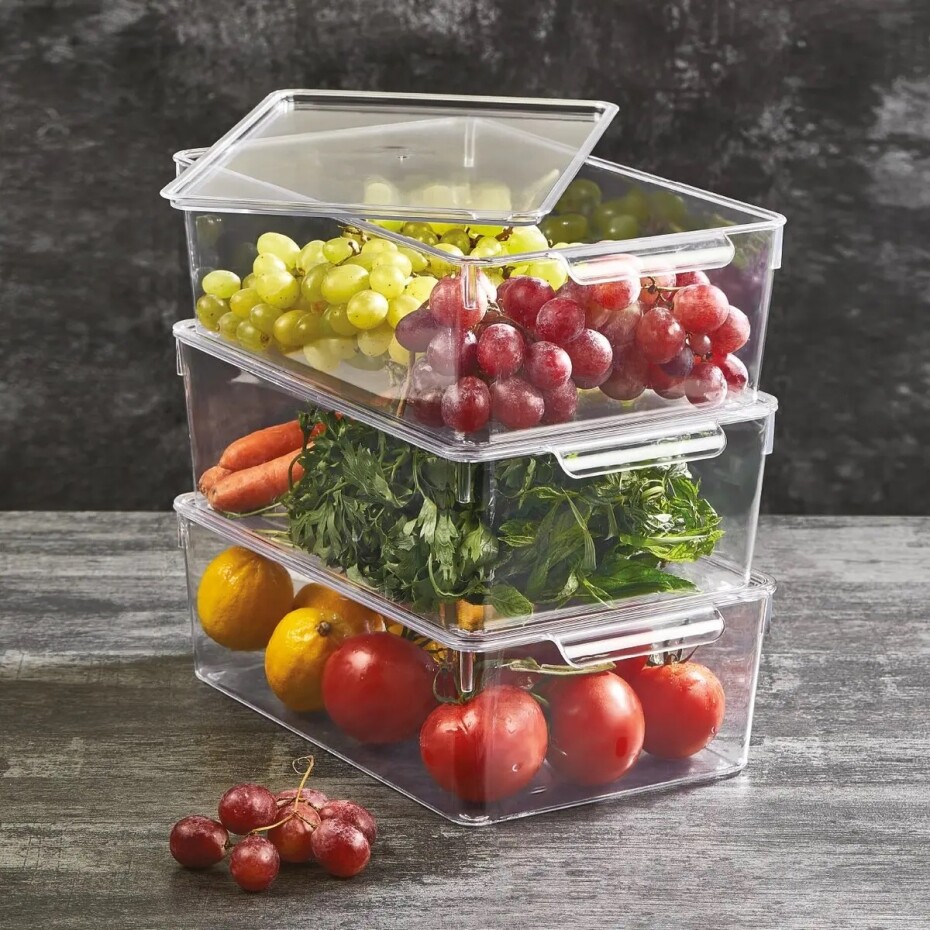 Orion UH organizér - košík s víkem UrovnejTo do lednice 32,5 x 20 x 10 cm - main (1)