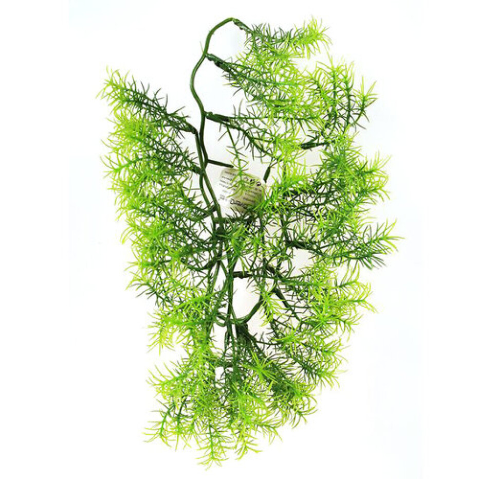 Umělá květina Asparagus, 40 cm - main (0)
