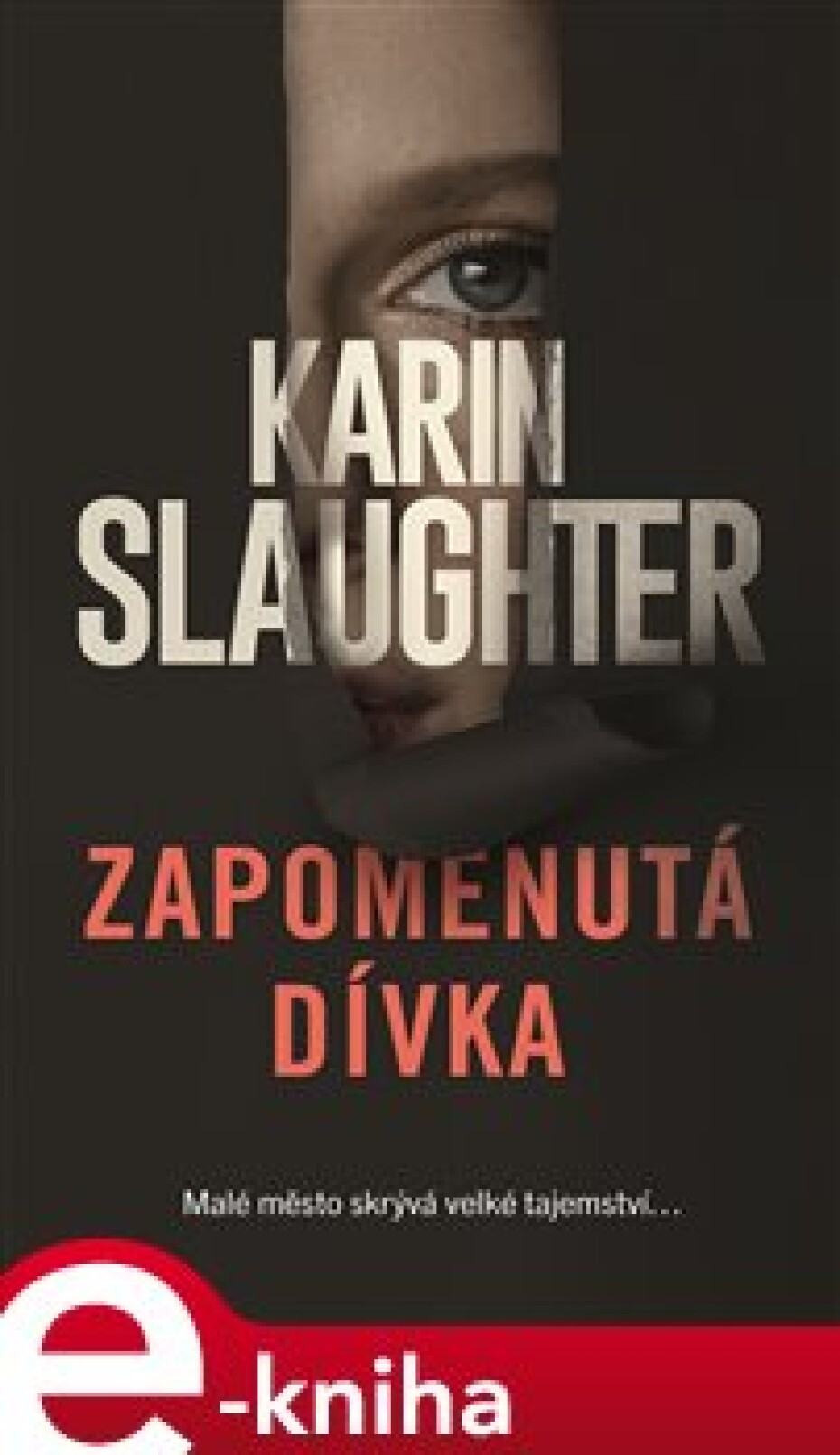 Zapomenutá dívka - Karin Slaughter - main (0)
