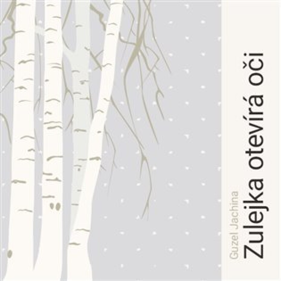 Zulejka otevírá oči - 2 CDmp3 (Čte Lukáš Hlavica) - Guzel Jachina - main (0)