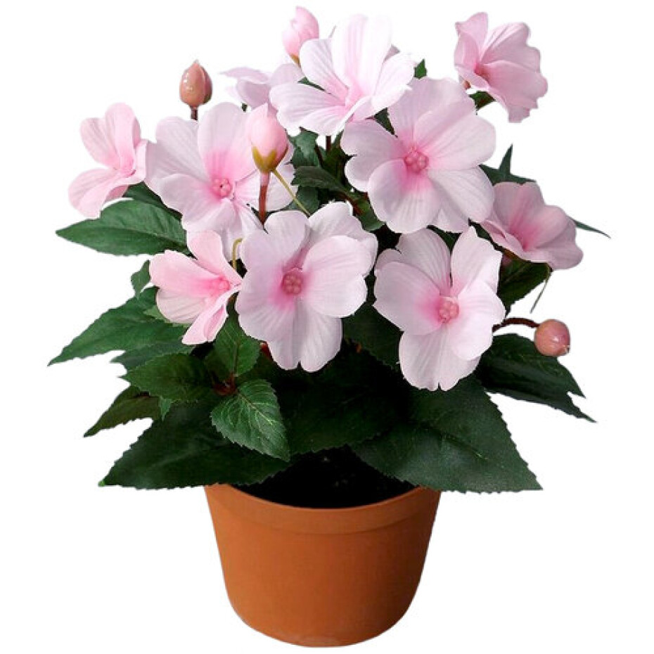 Umělá Netýkavka v květináči růžová, 24 cm - main (0)