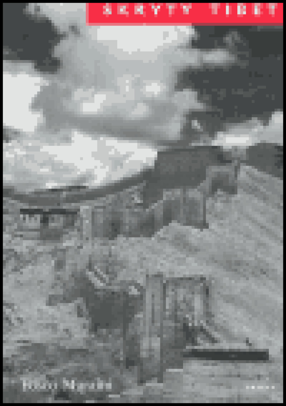 Skrytý Tibet - Fosco Maraini - main (0)