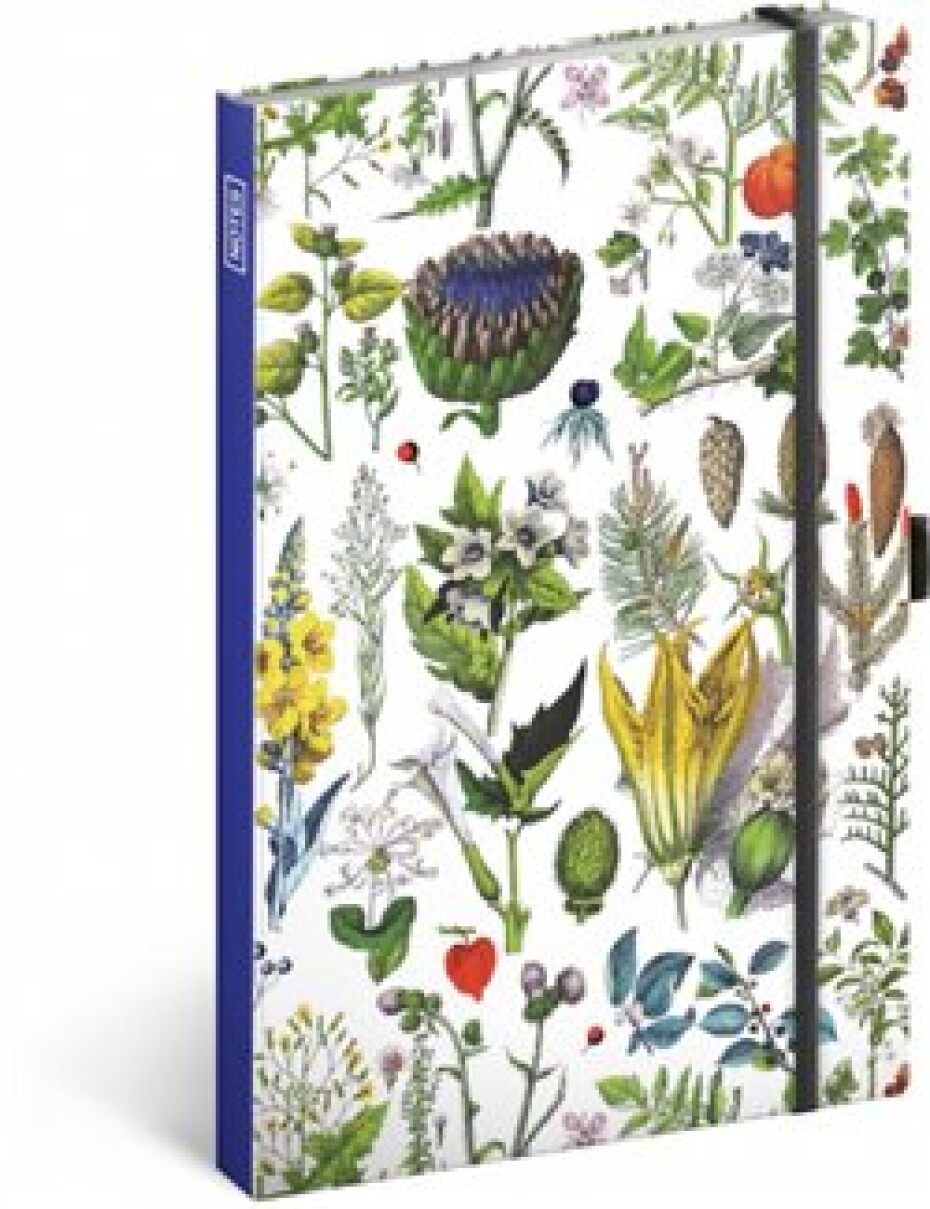 Notes Bylinky Kateřiny Winterové, linkovaný, 13 × 21 cm - main (0)