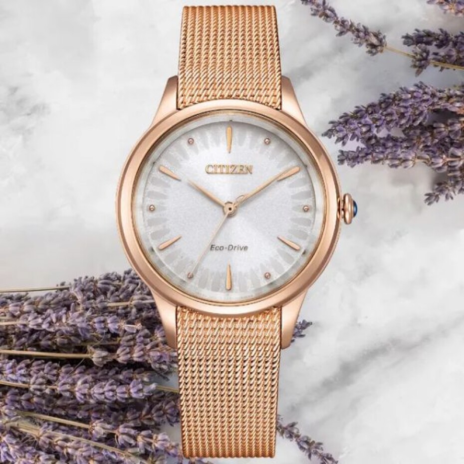 Citizen L Eco-Drive EM1153-88A - main (3)
