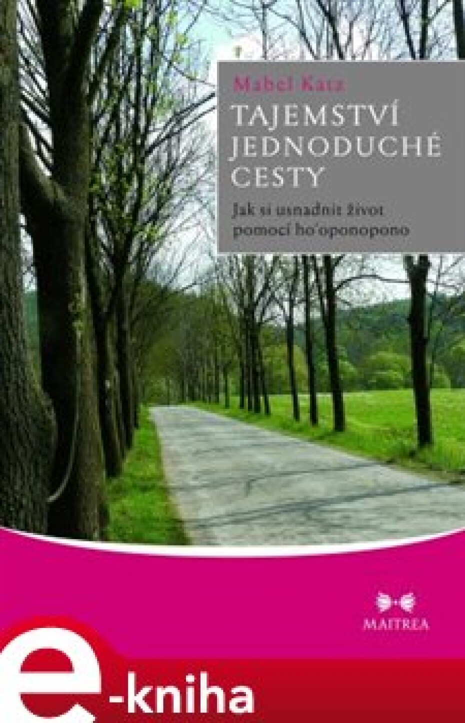 Tajemství jednoduché cesty - Mabel Katz - main (0)