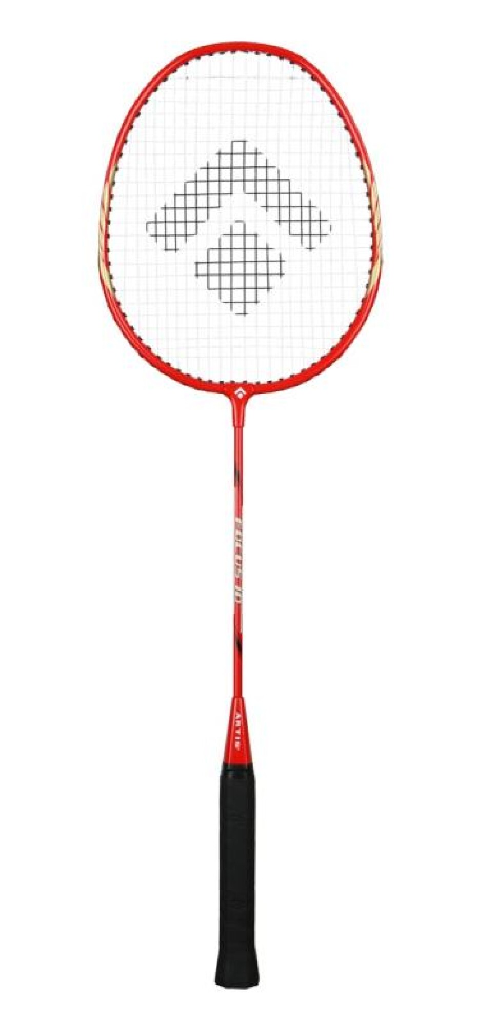 Artis Focus 10 badminton raketa - main (0)