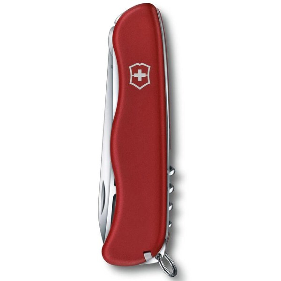 Nůž Victorinox Cheese Master - main (2)