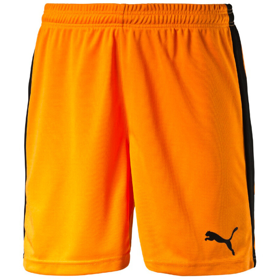 Pánské šortky Puma  Pitch  bílo-zelená, L - main (5)