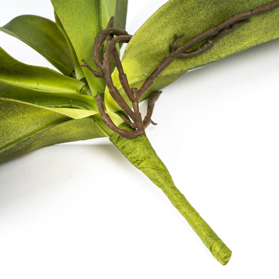 Umělý List orchideje s kořínky, 30 cm  - main (3)