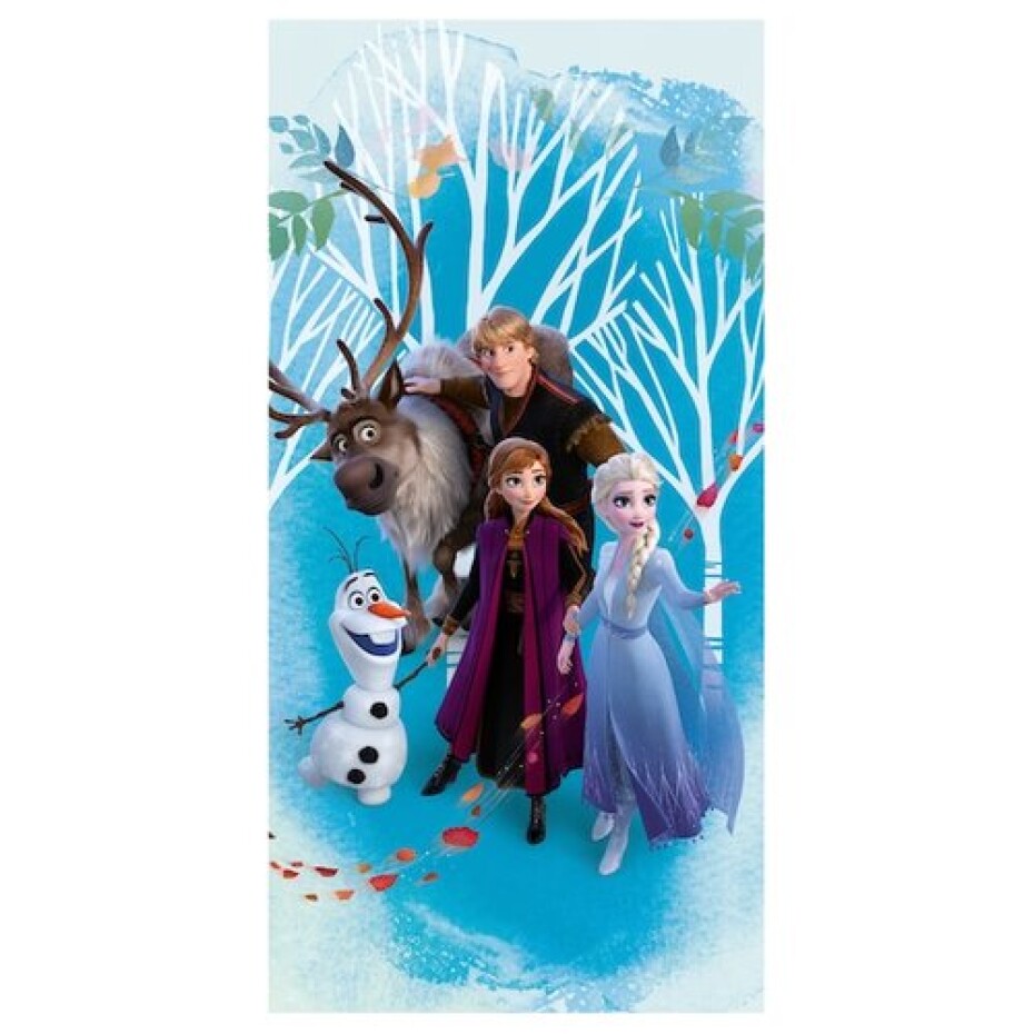 Jerry Fabrics Osuška Ledové království Frozen 2 blue, 70 x 140 cm - main (0)