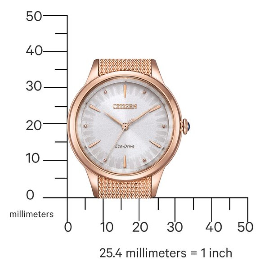Citizen L Eco-Drive EM1153-88A - main (5)