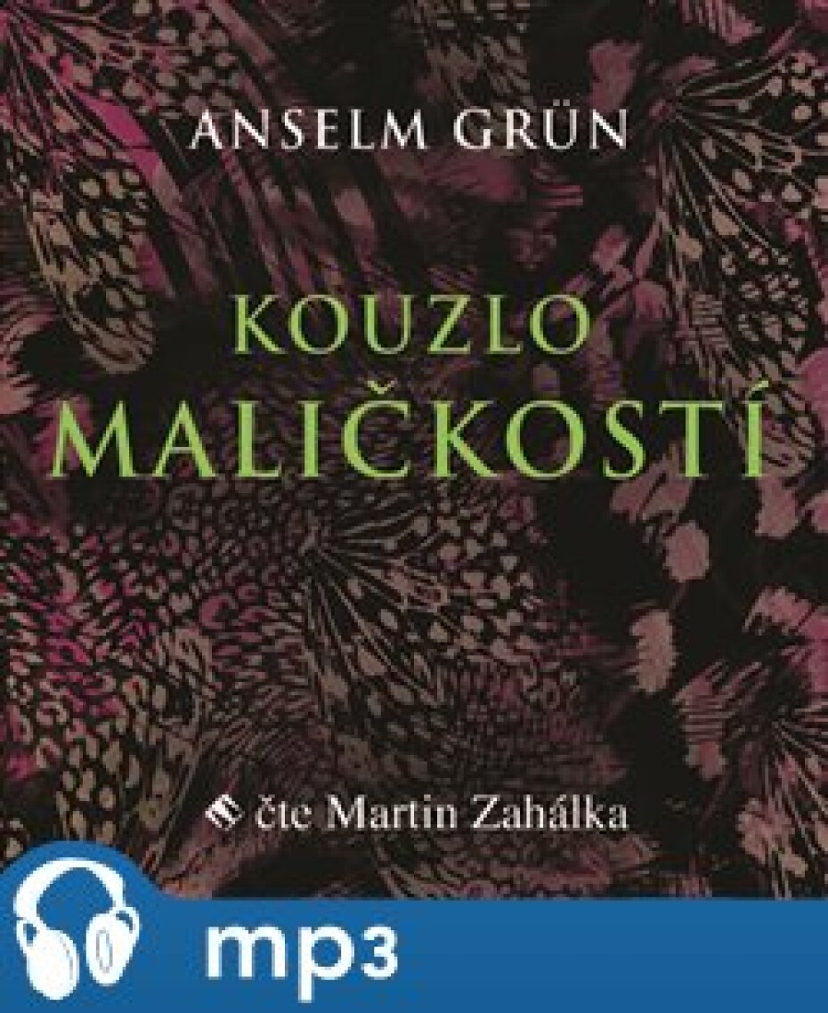 Kouzlo maličkostí, mp3 - Anselm Grün - main (0)