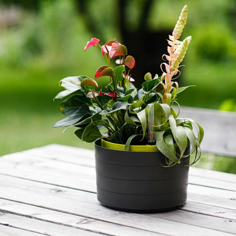 Plastia Samozavlažovací závěsný květináč Berberis antracit + zelená, pr. 26 cm - main (8)