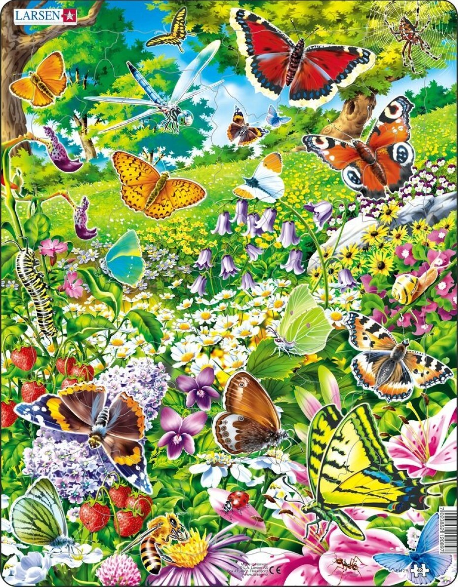 Puzzle MAXI - Motýli/42 dílků, 1.  vydání - Kovap - main (0)