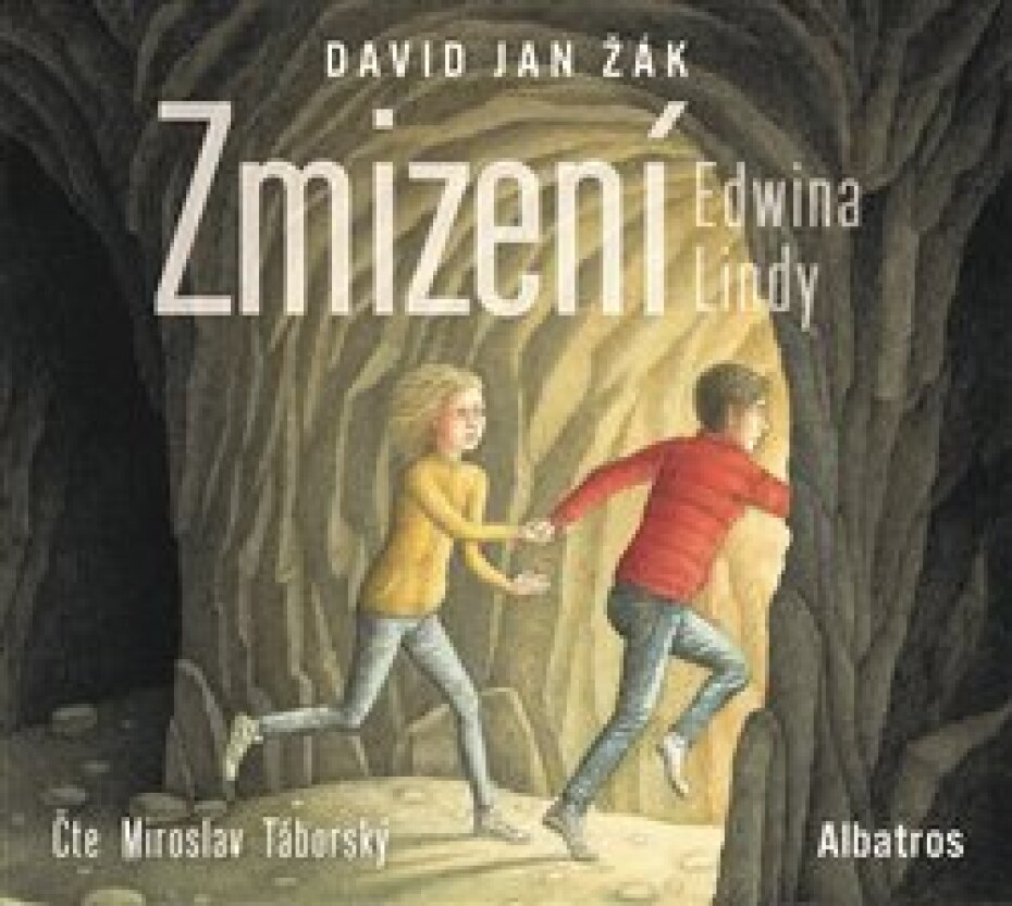 Zmizení Edwina Lindy - David Jan Žák - main (0)