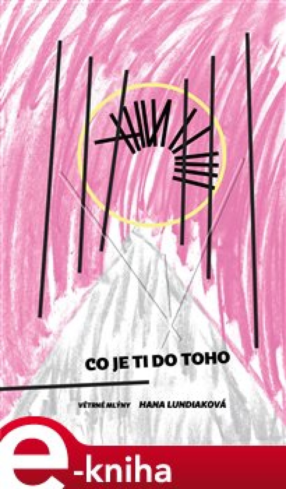 Co je ti do toho - Hana Lundiaková - main (0)