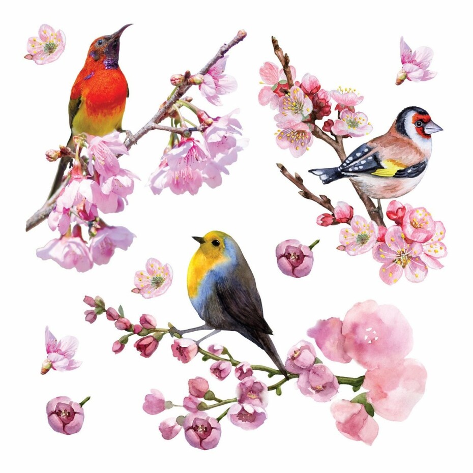 Samolepicí dekorace Birds, 30 x 30 cm - main (0)
