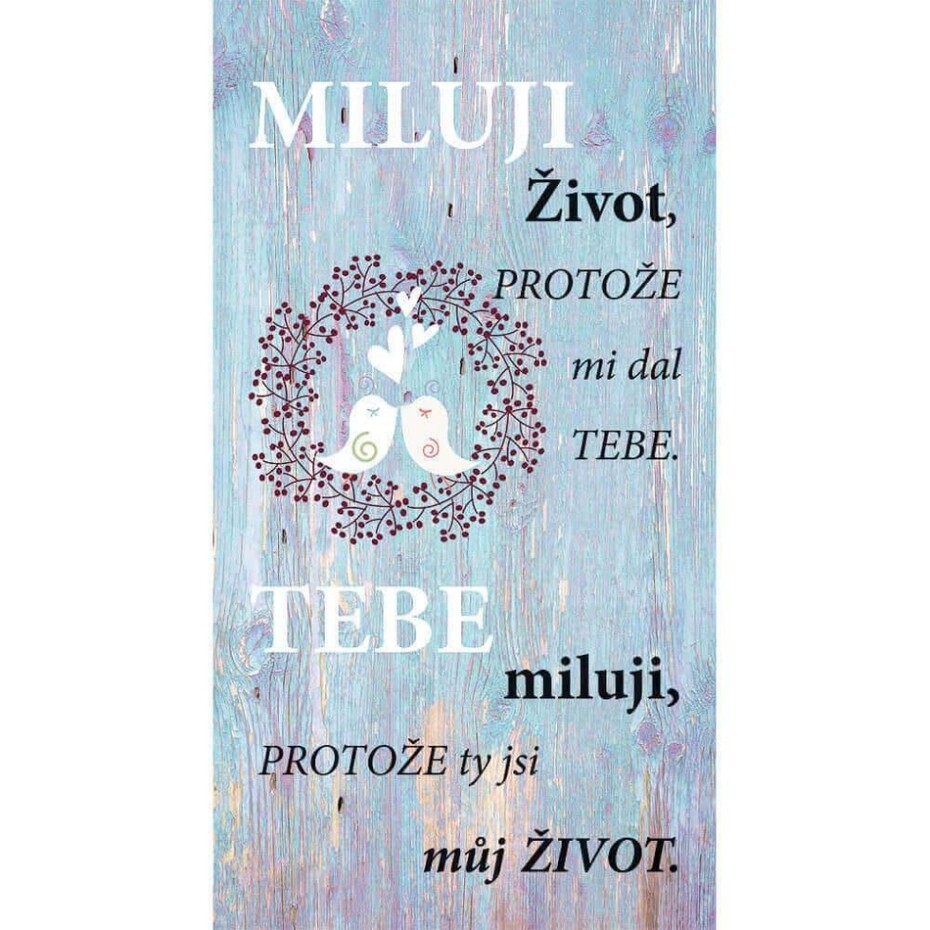 Bohemia Gifts Dekorační obraz Miluji život, 20 x 40 cm - main (0)