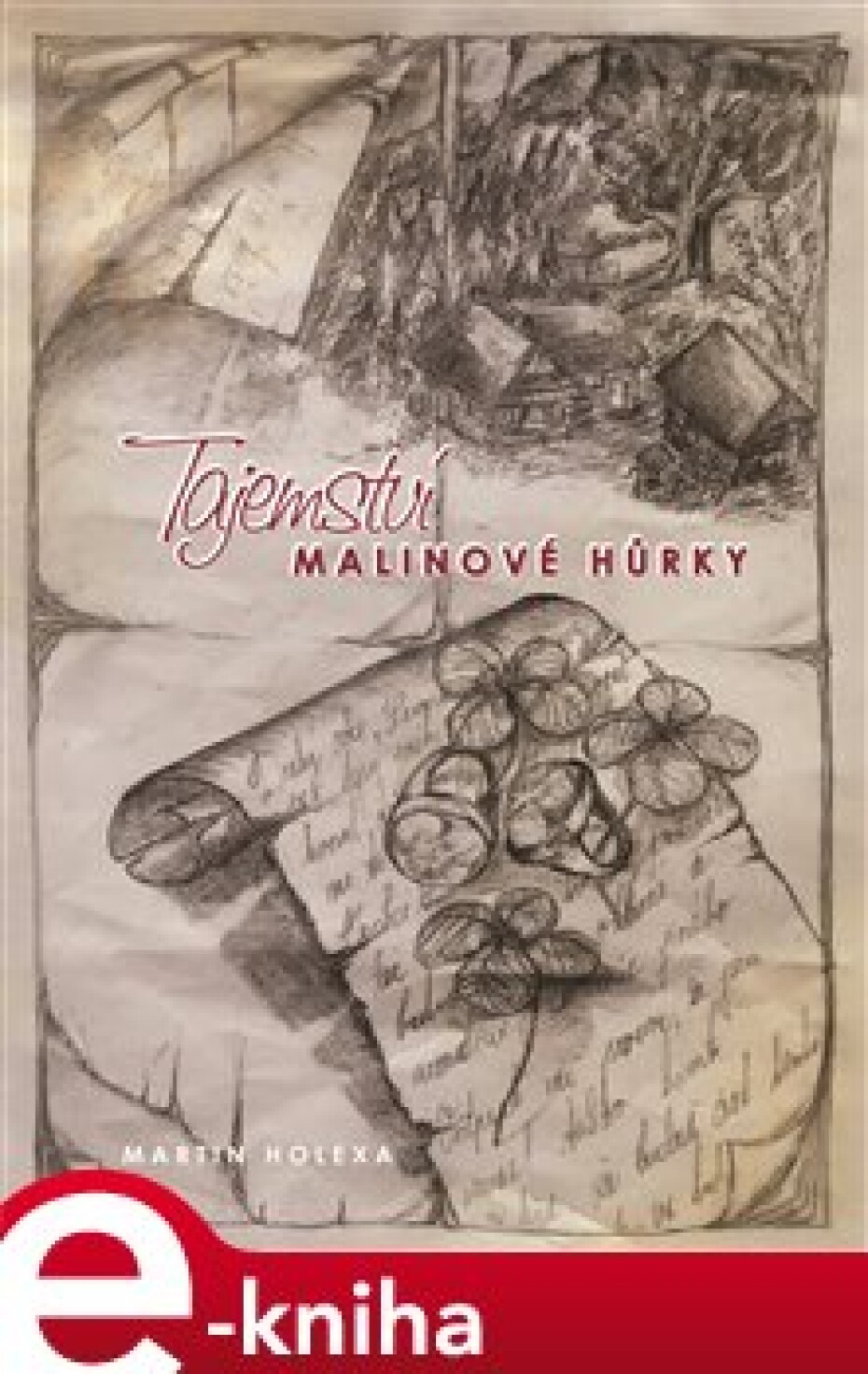Tajemství Malinové hůrky - Martin Holexa - main (0)