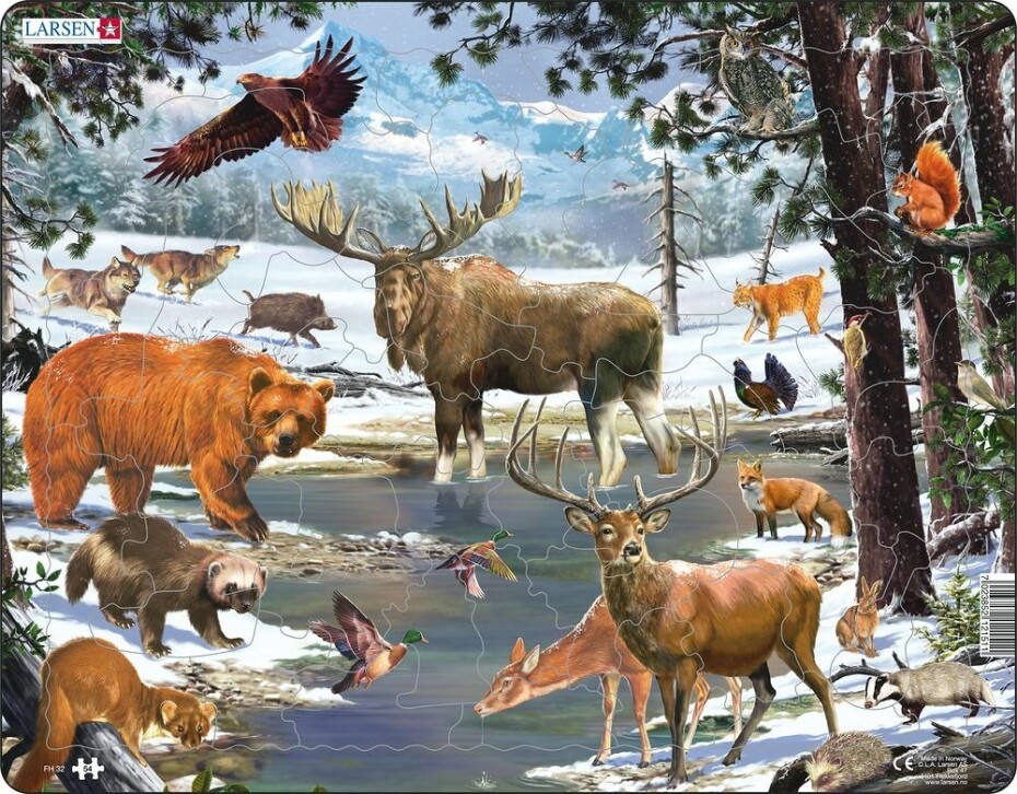 Puzzle MAXI - Krajina severního lesa/54 -  Kopro - main (0)