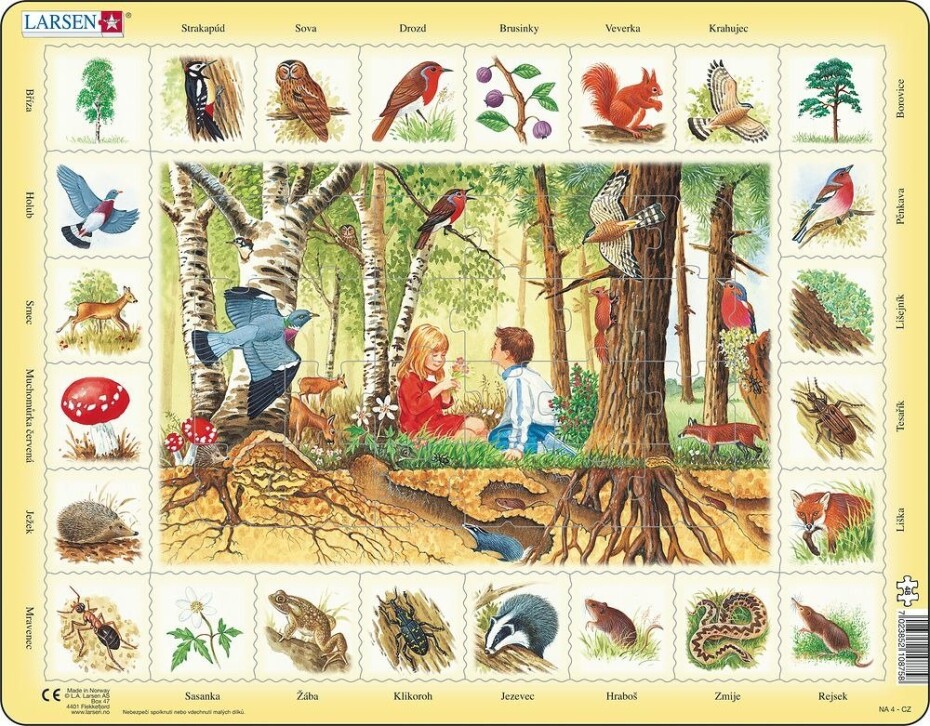 Puzzle MAXI - Život v lese/48 dílků - Larsen - main (0)