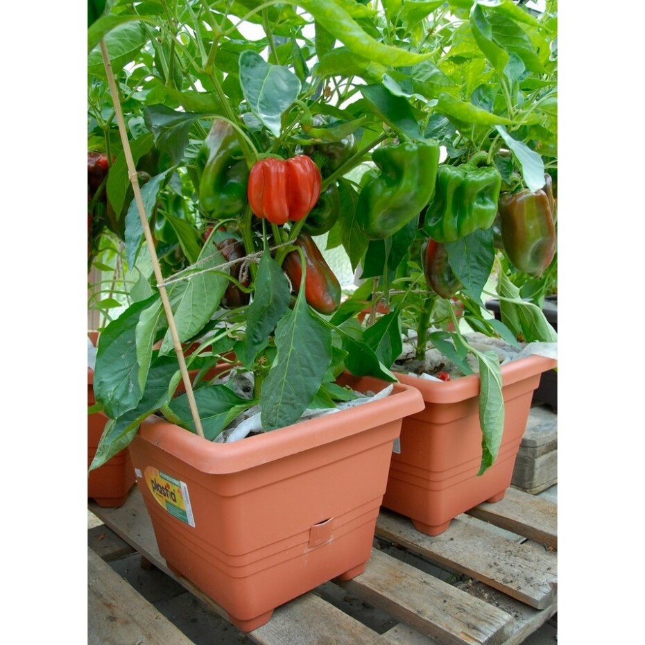 Samozavlažovací květináč BERGAMOT, terakota, Plastia - main (1)