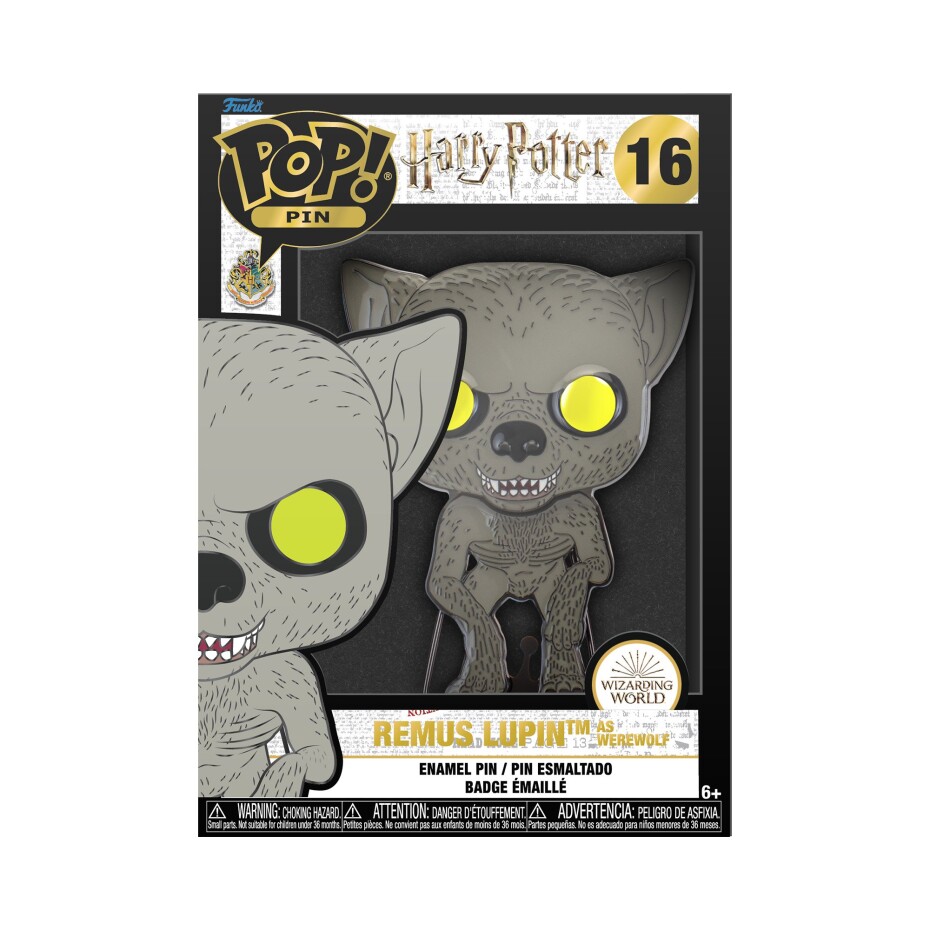 Funko POP Enamel Pin Harry Potter: Remus Lupin - main (0)