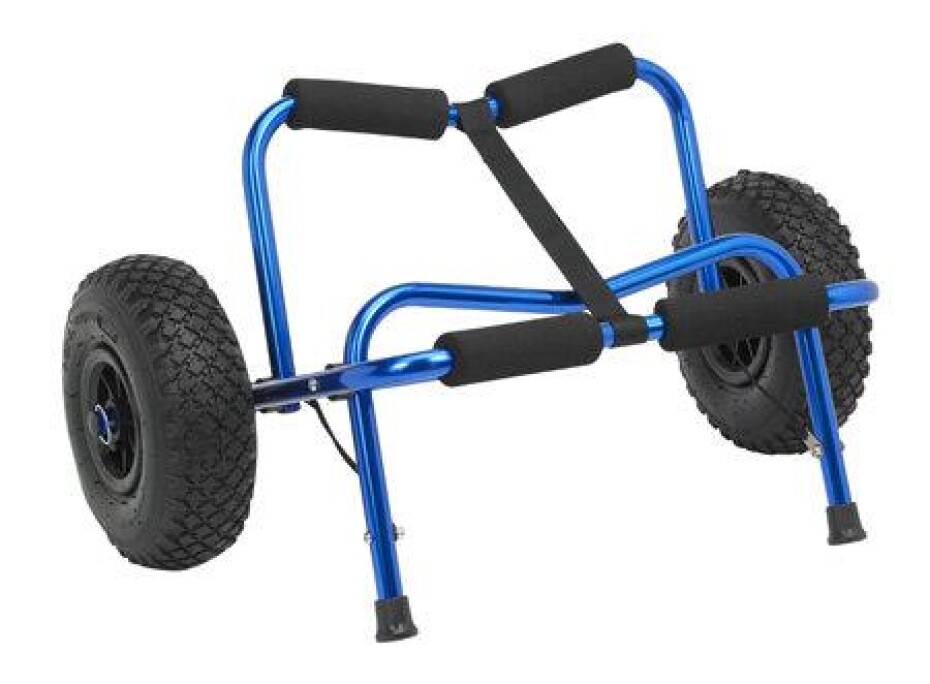 Palm Big Caddy - main (0)