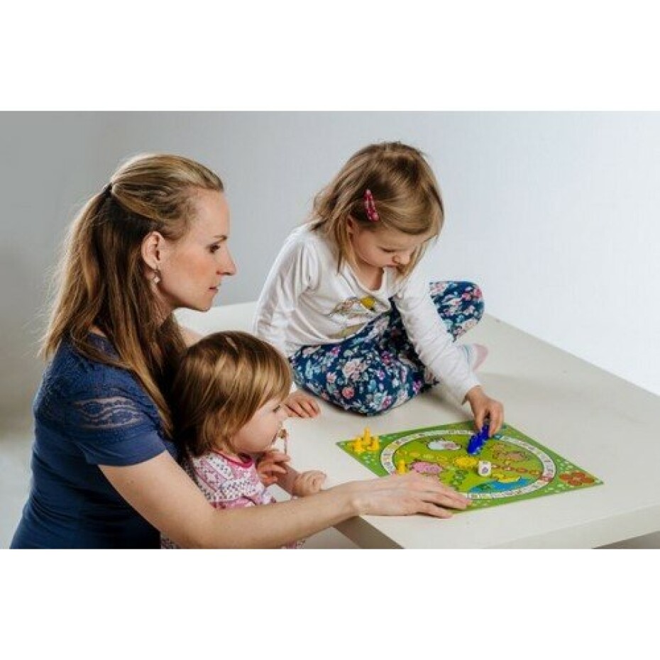 Teddies Člověče, nezlob se obrázkové Moje první zvířátka společenská hra pro nejmenší MPZ v krabici 33x23cm - main (2)