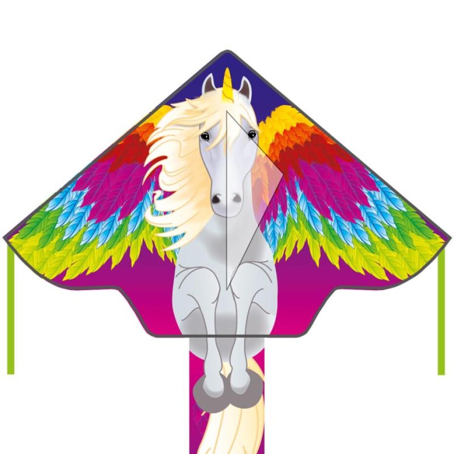 Invento drak Simple Flyer Pegasus - main (0)