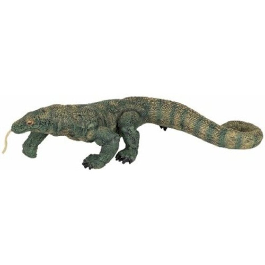Varan komodský - main (0)