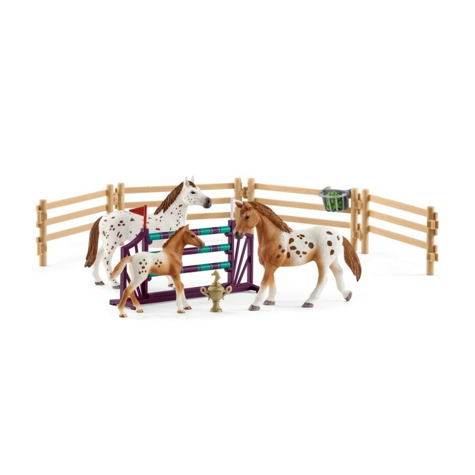 Schleich 42433 Appalosští koně a tréninkové příslušenství, 7 ks - main (0)