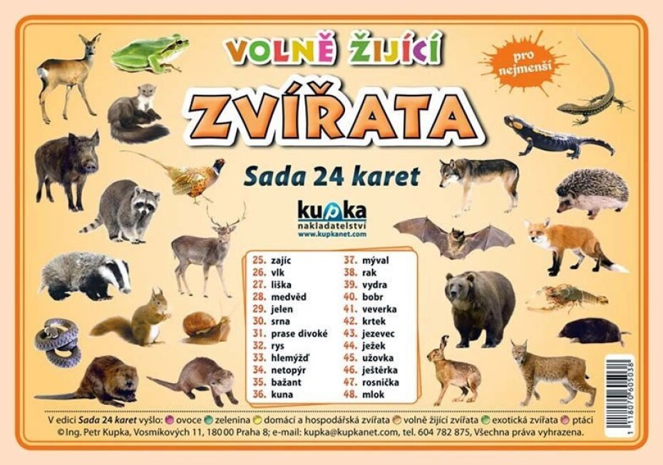 Volně žijící zvířata - Sada 24 karet - Petr Kupka - main (0)