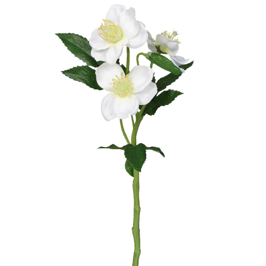 Umělá Čemeřice bílá, 37 cm - main (0)