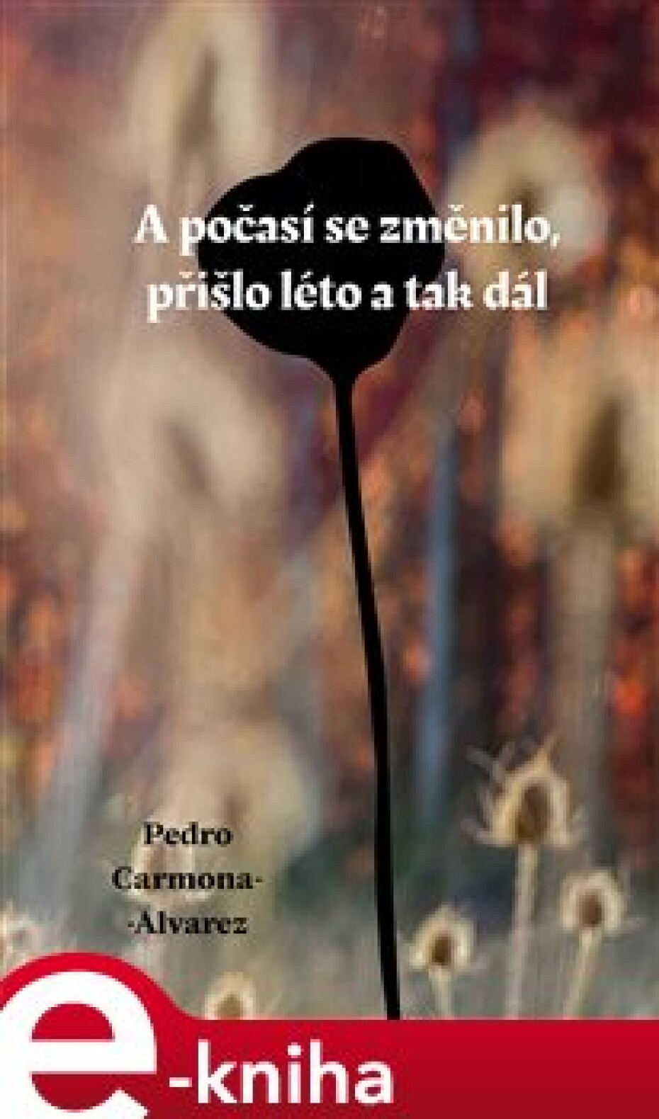 A počasí se změnilo, přišlo léto a tak dál - Pedro Carmona-Alvarez - main (0)