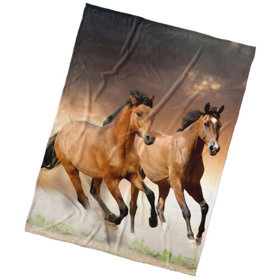 BedTex Dětská deka Koně hnědáci, 150 x 200 cm - main (0)