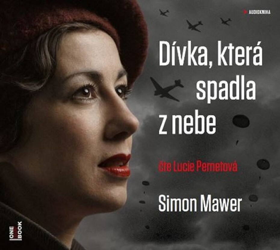 Dívka, která spadla z nebe - CDmp3 (Čte Lucie Pernetová) - Simon Mawer - main (0)