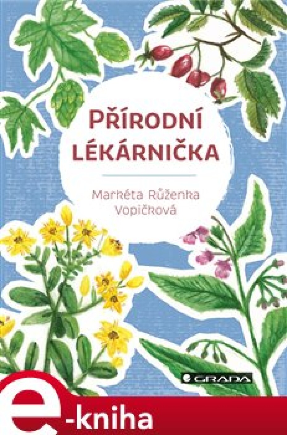 Přírodní lékárnička - Markéta Růženka Vopičková - main (0)
