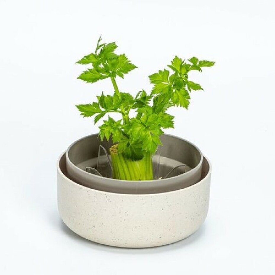 Plastia Regrow, slonová kost  - main (2)