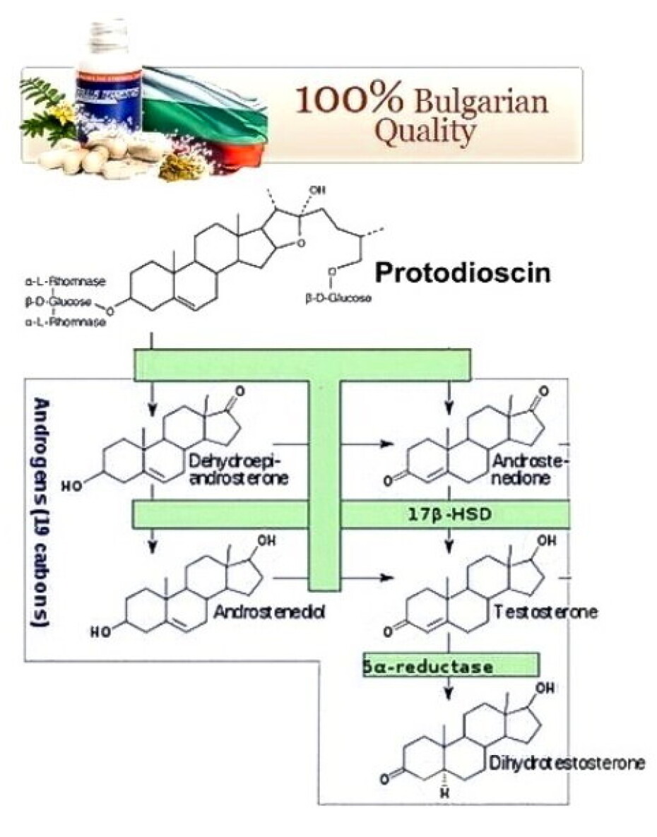 VemoHerb Tribulus Terrestris MAXX 60 kapslí - main (4)