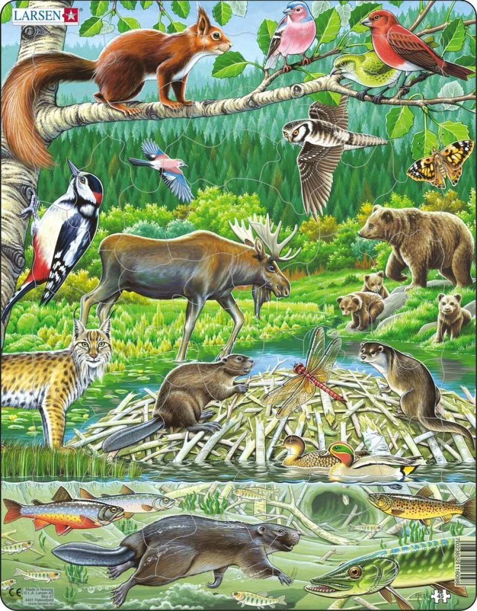 Puzzle MAXI - Zvířátka v lese/45 dílků, 1.  vydání - Kohoutová auta - main (0)