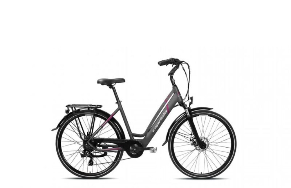 Capriolo Elektrokolo E-City Lady 28 E-BIKE šedá - main (0)