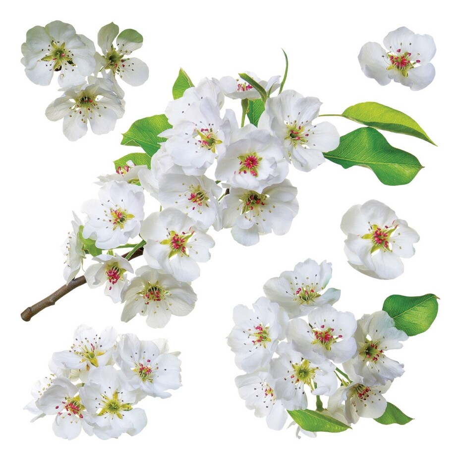 Samolepicí dekorace Apple blossom, 30 x 30 cm - main (0)