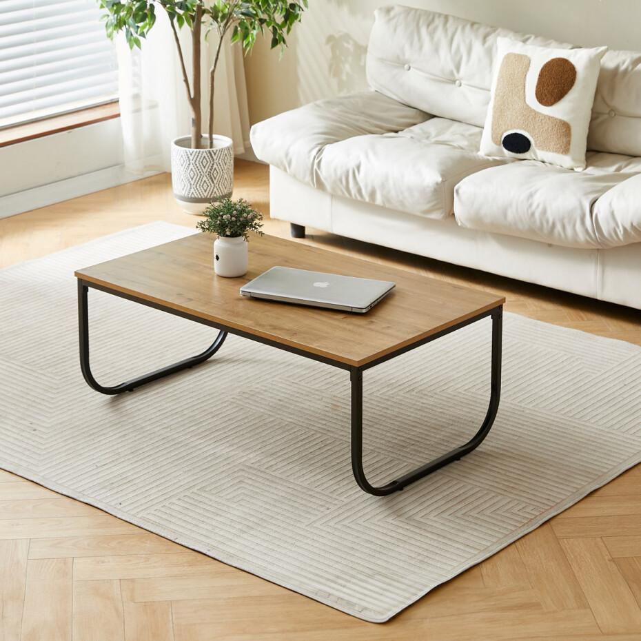 Elegantní konferenční stůl s "U" podnoží, 100 x 60 x 40 cm - main (7)