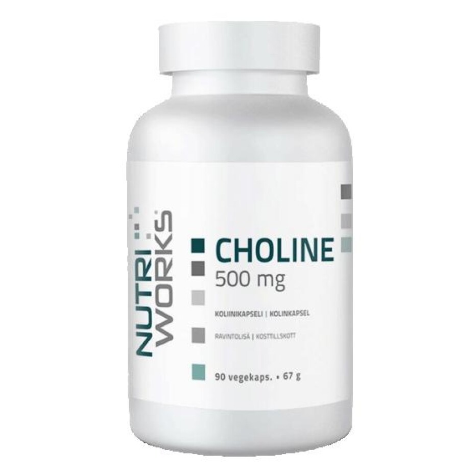 NutriWorks Choline 500mg 90 kapslí - main (0)