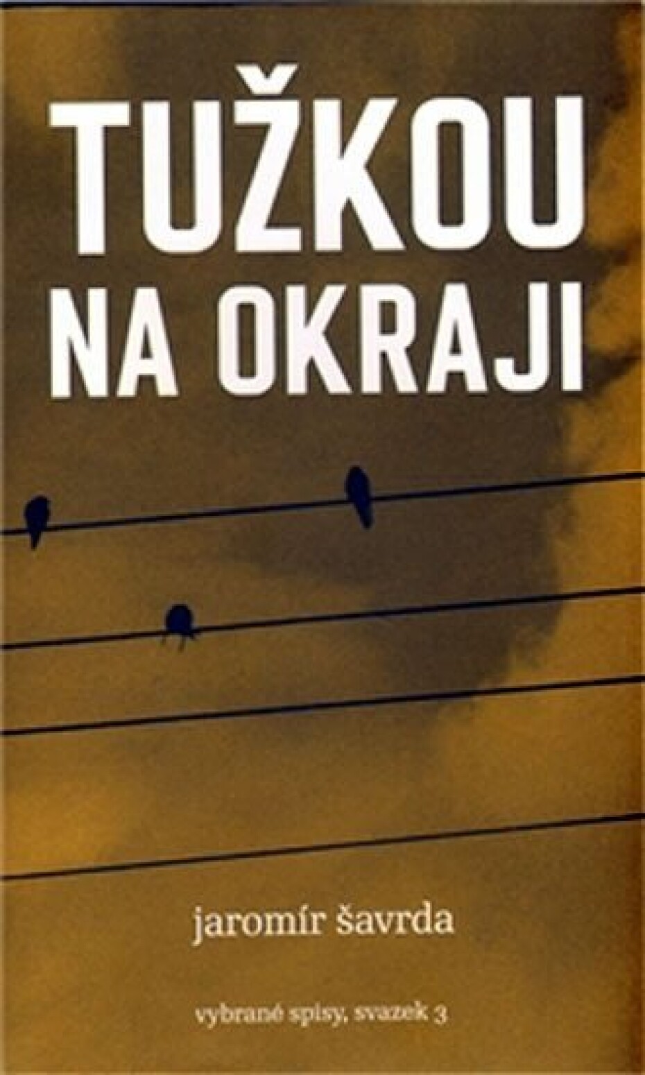 Tužkou na okraji - Jaromír Šavrda - main (0)